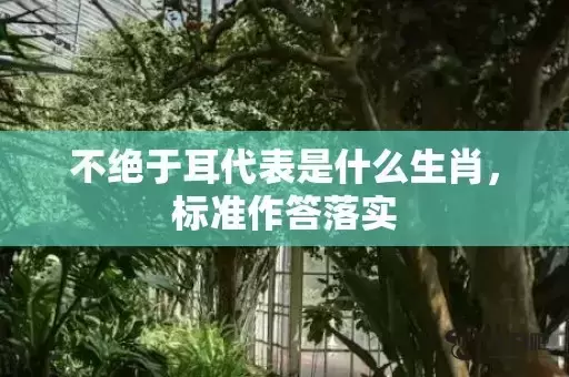 不绝于耳代表是什么生肖，标准作答落实