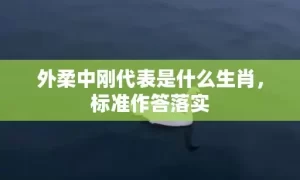 外柔中刚代表是什么生肖，标准作答落实