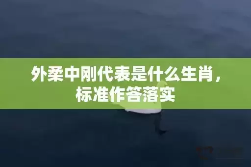 外柔中刚代表是什么生肖，标准作答落实
