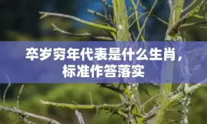 卒岁穷年代表是什么生肖，标准作答落实