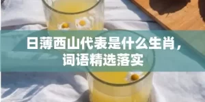 日薄西山代表是什么生肖，词语精选落实