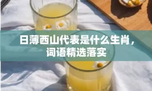 日薄西山代表是什么生肖，词语精选落实