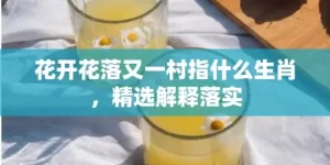 花开花落又一村指什么生肖，精选解释落实