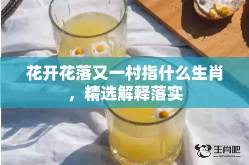 花开花落又一村指什么生肖,精选解释落实 花开花落又一村指什么生肖,精选解释落实