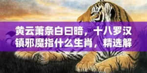 黄云萧条白曰暗，十八罗汉镇邪魔指什么生肖，精选解释落实