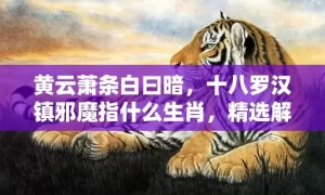 黄云萧条白曰暗，十八罗汉镇邪魔指什么生肖，精选解释落实