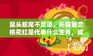 鼠头蛇尾不足道，彩蝶最恋桃花红是代表什么生肖，成语解答落实