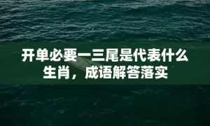 开单必要一三尾是代表什么生肖，成语解答落实