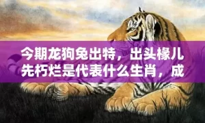 今期龙狗兔出特，出头椽儿先朽烂是代表什么生肖，成语解答落实