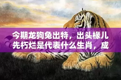 今期龙狗兔出特，出头椽儿先朽烂是代表什么生肖，成语解答落实