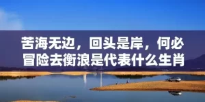 苦海无边，回头是岸，何必冒险去衡浪是代表什么生肖，成语解答落实