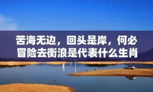 苦海无边，回头是岸，何必冒险去衡浪是代表什么生肖，成语解答落实