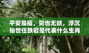 平安是福，穷也无妨，浮沉俗世任跌宕是代表什么生肖，成语解答落实