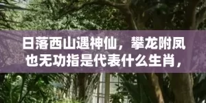 日落西山遇神仙，攀龙附凤也无功指是代表什么生肖，谜底解析落实