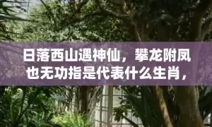 日落西山遇神仙，攀龙附凤也无功指是代表什么生肖，谜底解析落实