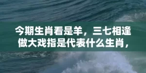 今期生肖看是羊，三七相逢做大戏指是代表什么生肖，谜底解析落实