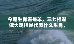 今期生肖看是羊，三七相逢做大戏指是代表什么生肖，谜底解析落实