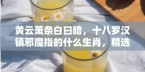 黄云萧条白曰暗，十八罗汉镇邪魔指的什么生肖，精选作答落实