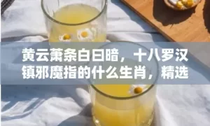 黄云萧条白曰暗，十八罗汉镇邪魔指的什么生肖，精选作答落实