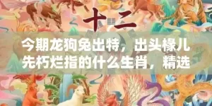 今期龙狗兔出特，出头椽儿先朽烂指的什么生肖，精选作答落实