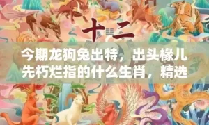 今期龙狗兔出特，出头椽儿先朽烂指的什么生肖，精选作答落实