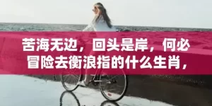 苦海无边，回头是岸，何必冒险去衡浪指的什么生肖，精选作答落实