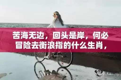 苦海无边，回头是岸，何必冒险去衡浪指的什么生肖，精选作答落实
