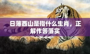 日薄西山是指什么生肖，正解作答落实