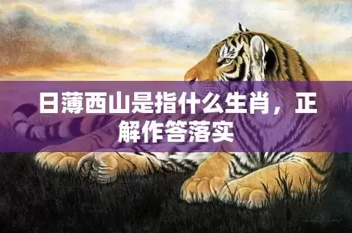 日薄西山是指什么生肖，正解作答落实