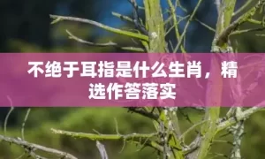 不绝于耳指是什么生肖，精选作答落实