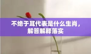 不绝于耳代表是什么生肖，解答解释落实