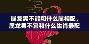 属龙男不能和什么属相配，属龙男不宜和什么生肖最配