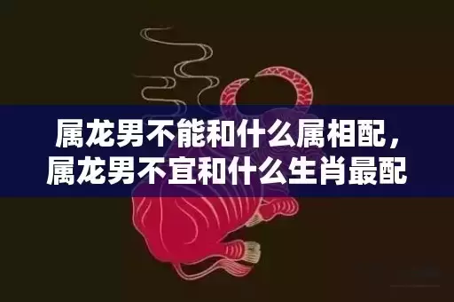 属龙男不能和什么属相配，属龙男不宜和什么生肖最配