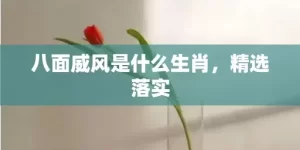 八面威风是什么生肖，精选落实