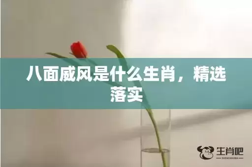 八面威风是什么生肖，精选落实