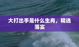 大打出手是什么生肖，精选落实