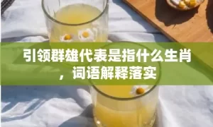 引领群雄代表是指什么生肖，词语解释落实