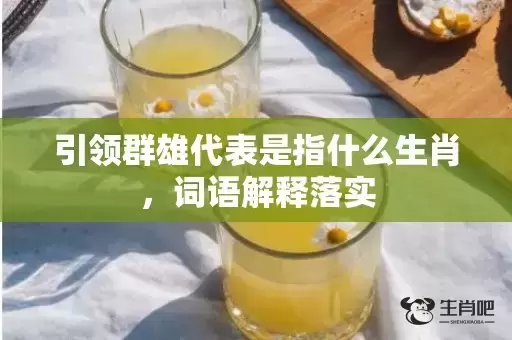 引领群雄代表是指什么生肖，词语解释落实