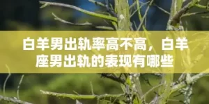 白羊男出轨率高不高，白羊座男出轨的表现有哪些