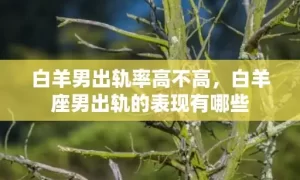 白羊男出轨率高不高，白羊座男出轨的表现有哪些