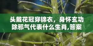 头戴花冠穿锦衣，身怀玄功除邪气代表什么生肖,答案曝光落实