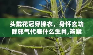 头戴花冠穿锦衣，身怀玄功除邪气代表什么生肖,答案曝光落实