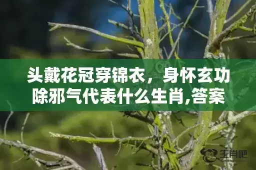 头戴花冠穿锦衣，身怀玄功除邪气代表什么生肖,答案曝光落实