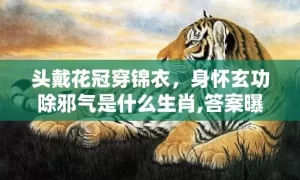 头戴花冠穿锦衣，身怀玄功除邪气是什么生肖,答案曝光落实