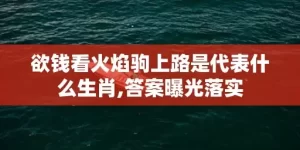 欲钱看火焰驹上路是代表什么生肖,答案曝光落实