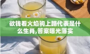 欲钱看火焰驹上路代表是什么生肖,答案曝光落实