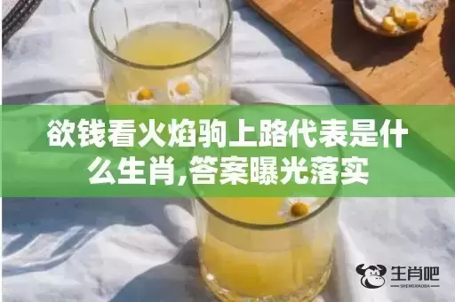 欲钱看火焰驹上路代表是什么生肖,答案曝光落实