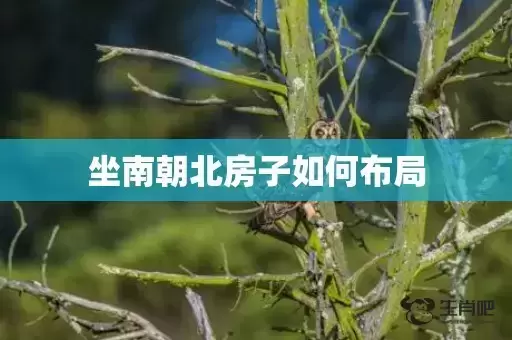 坐南朝北房子如何布局 坐南朝北房子如何布局
