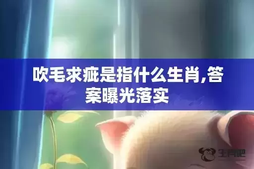 吹毛求疵是指什么生肖,答案曝光落实