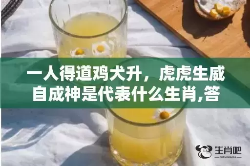 一人得道鸡犬升，虎虎生威自成神是代表什么生肖,答案曝光落实